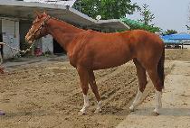 �ְ��� (CHOEGANG QUEEN) ����