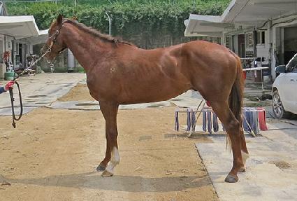 ���ν���ũ ����