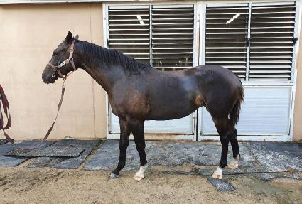 ���� ����