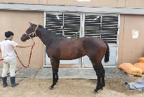 ū�ܺ� (KEUN DANBI) ����