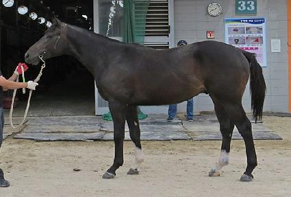 ŷ���� ����