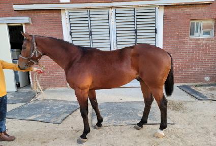 �������� ����