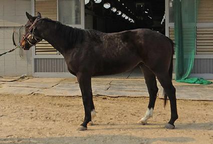 ���̴���ķ�� ����