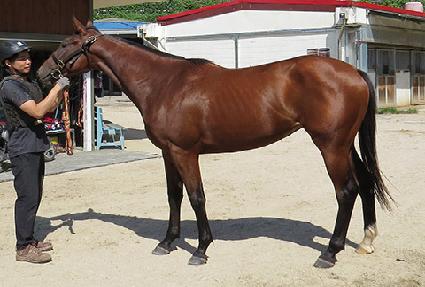 ����Ǯ�ݼ� ����