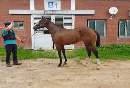 �۷θ��ε� ����