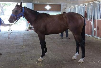 ����ǮŸ���� ����