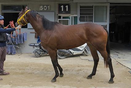 ����Ǯ���� ����