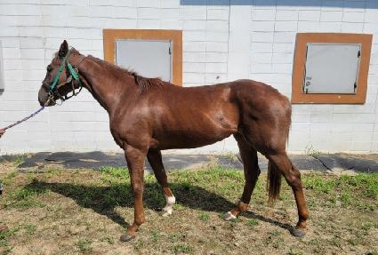 ����Ǯ��� ����