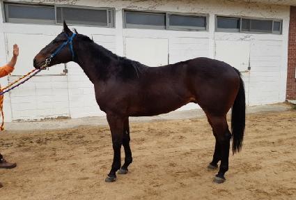 ���ǵ帶��Ʈ ����