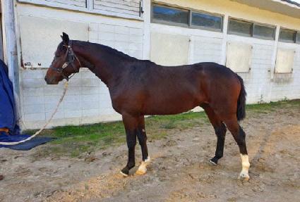 �ְ�ü���� ����