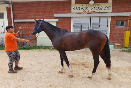 ȣ���� ����