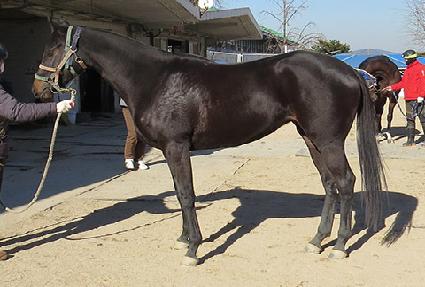 �Ÿ��� ����