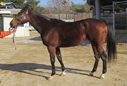 �ְ���ǳ ����