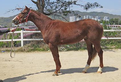 �帲��Ű ����