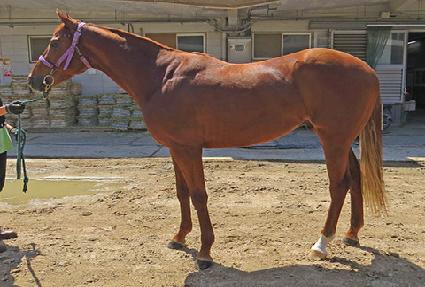 ����Ÿ��õ ����