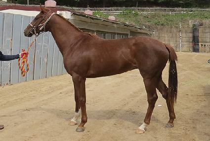 ��õ�ż��� ����