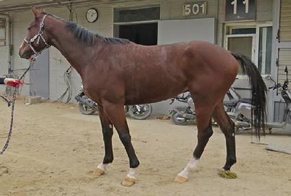 ��ġ ����