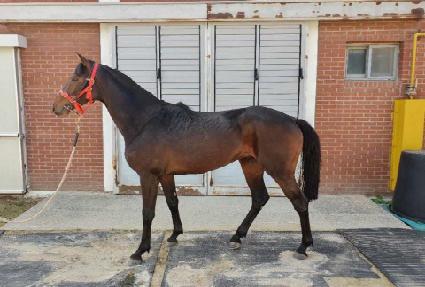 ���� ����