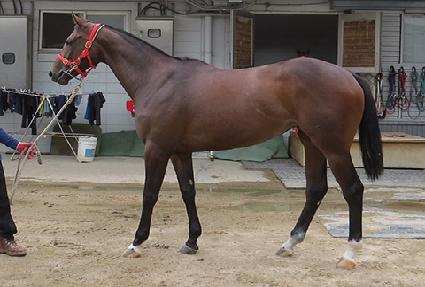 �뼼���� ����