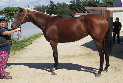 �̹��� ����