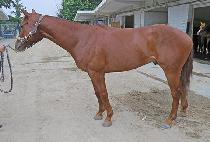 ���̿����ŷ (K N UNDERKING) ����