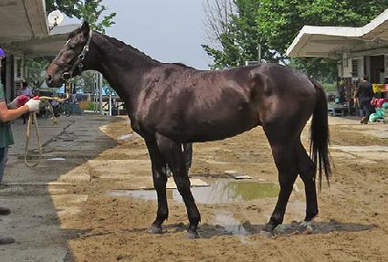 ��������� ����