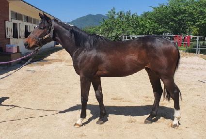 ��ī���� ����