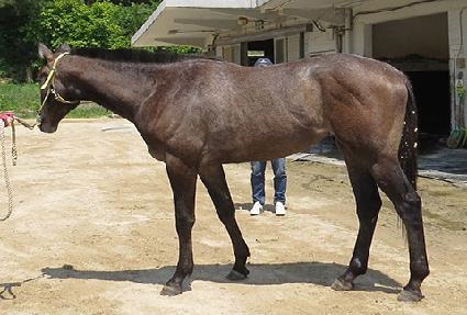 ū�ڼ� ����