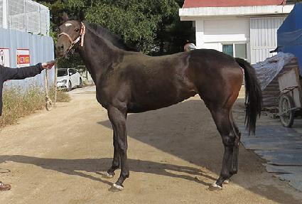 �ٶ�Ÿ�� ����