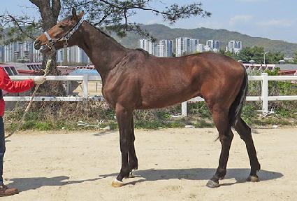 �������� ����