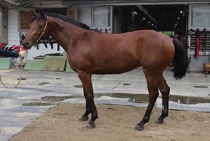 �Ŀ��� ����