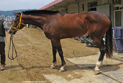 ���ξ��� ����