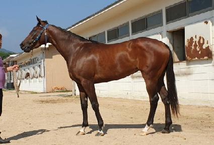 �����ü� ����