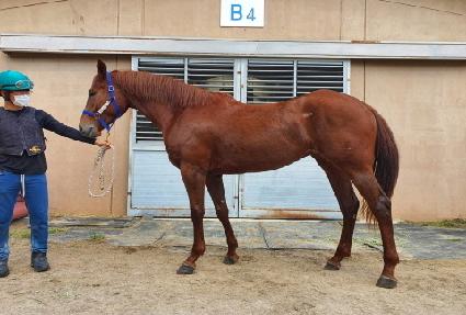 ũ�����н�ŷ ����