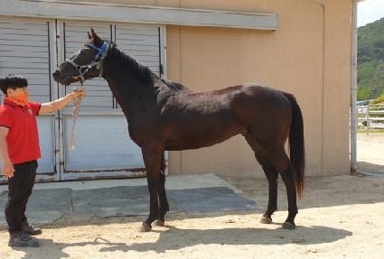 ��ƼǮŷ ����