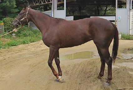 �������� ����