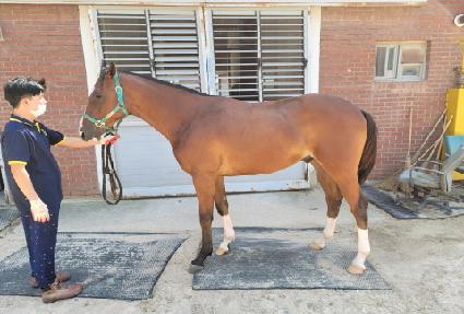 ��´����� ����