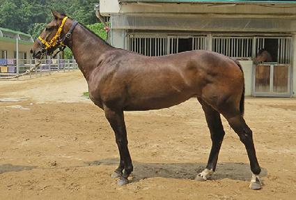 ��°��� ����