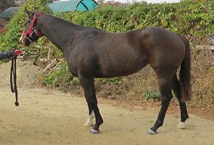 �������ݸ� ����