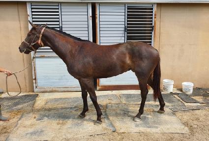 ���̵���� ����