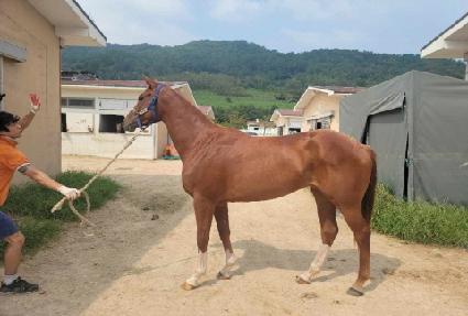 ���α� ����