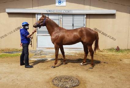 ����Ư�� ����