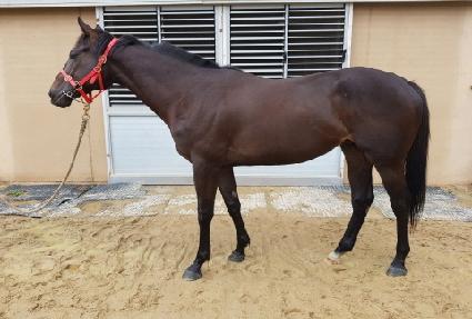 �Ƶ�����Ʈ ����