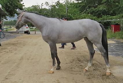 ����Ÿ�̰� ����