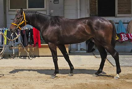 ������Ʈ�� ����