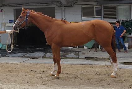 �ø�Ʈ���� ����