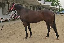 �������Ʈ (MODERN BEST) ����