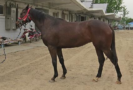 �������Ʈ ����