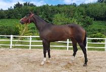 �����Ŀ� (SUSO POWER) ����