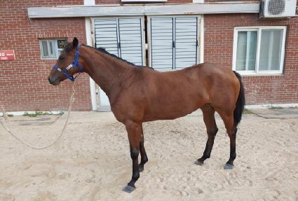 ĳġ���� ����